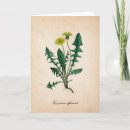 Search for plant science Drawing