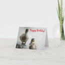 Search for happy duckling cards For her