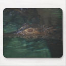 Search for crocodile electronics Wild