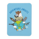 Search for bare magnets We bare bears