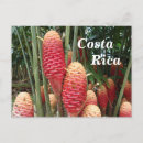 Search for latin america postcards Costa rica