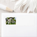 Search for flowering trees return address labels Blossoms