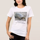 Search for turtle womens tshirts Amphibian