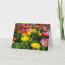 Search for gerbera daisy cards Yellow