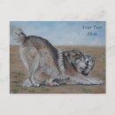 Search for wolves postcards Wildlife