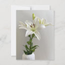 Search for easter lily postcards White
