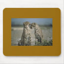 Search for cheetah mousepads Nature