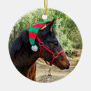 Search for equine christmas tree decorations Arabian