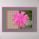 Search for bee balm posters Photography