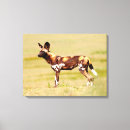 Search for colourful animal canvas prints Endangered species