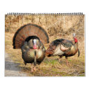 Search for turkey calendars Bird