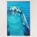 Search for dolphin puzzles Blue