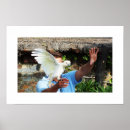 Search for cockatoo posters Parrot