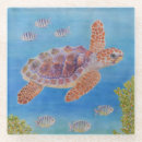 Search for young turtle Sea