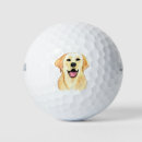 Search for labrador retriever golf balls Cute