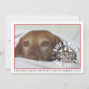 Search for warm fuzzy cards Pet