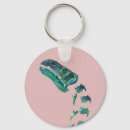 Search for dinosaurs key rings Jurassic
