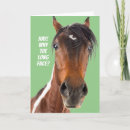 Search for funny horse birthday cards Animals
