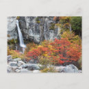 Search for patagonia postcards National park