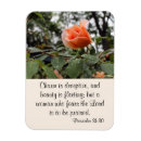 Search for virtue magnets Women