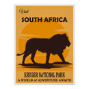 Search for kruger national park posters Lion