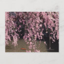 Search for japanese river postcards Tree