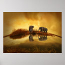 Search for thailand posters Elephant