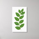 Search for green canvas prints Beautiful