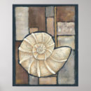 Search for shells posters Conch seashell