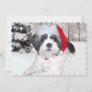Search for cute shih tzu christmas cards Snow