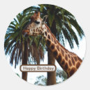 Search for funny giraffes stickers Wildlife