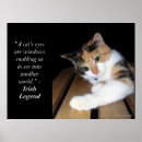 Search for calico kitten art Tabby