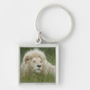 Search for private key rings White