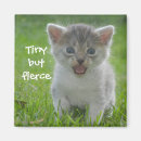Search for tiny magnets Cat