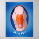 Search for farm animals posters Cute
