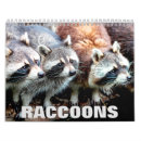 Search for raccoon calendars Animal