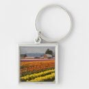 Search for crops key rings Grow