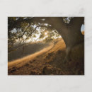 Search for shady postcards California