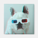 Search for glass magnets Puppy