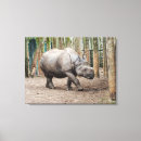 Search for one animal canvas prints Nature