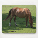Search for horse mousepads Abstract