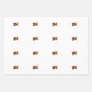 Search for dino wrapping paper Gender neutral