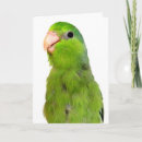 Search for bird pet memorials Sympathy