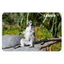 Search for lemur gifts Black