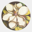 Search for magnolia tree stickers Nature