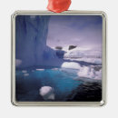 Search for antarctica christmas tree decorations Glacier