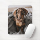 Search for dapple mousepads Dachshund