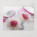 Search for chrysanthemum postcards Still life