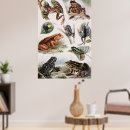 Search for catalogue posters Nature