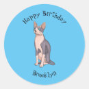 Search for sphynx stickers Pet